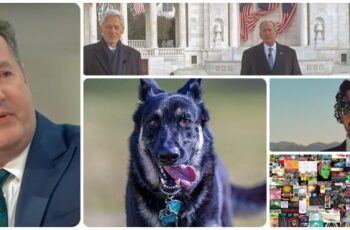 Quick Weekend Quiz: Presidential Dog, NFT, 2 Careers