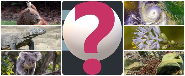 Quiz Category: Latest Nature Trivia | 10 Wonderful Questions