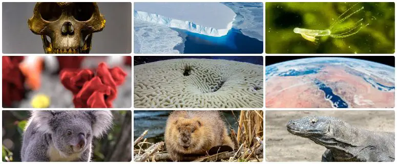 100+ Nature and Science Trivia Quiz Questions (And Answers)