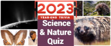 2023 Big Science and Nature Quiz - Year-End Trivia