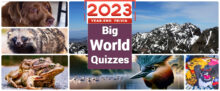 2023 Big World Quizzes - Year-End Global Trivia