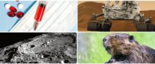2020 Science Quiz