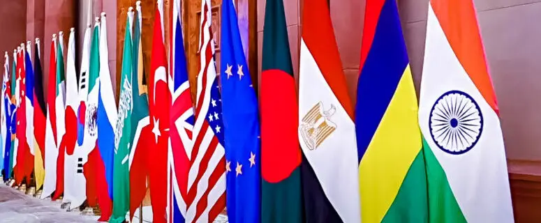 G20 Flags